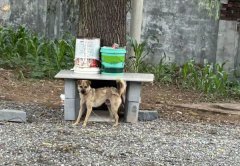 山西长治：邻里纠纷致严重后果，当地调查还原案件细节